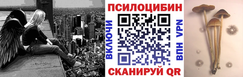 Псилоцибиновые грибы Cubensis  Томмот 